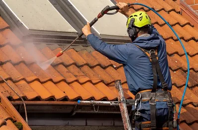 Démoussage et hydrofuge de toiture à Lanmérin